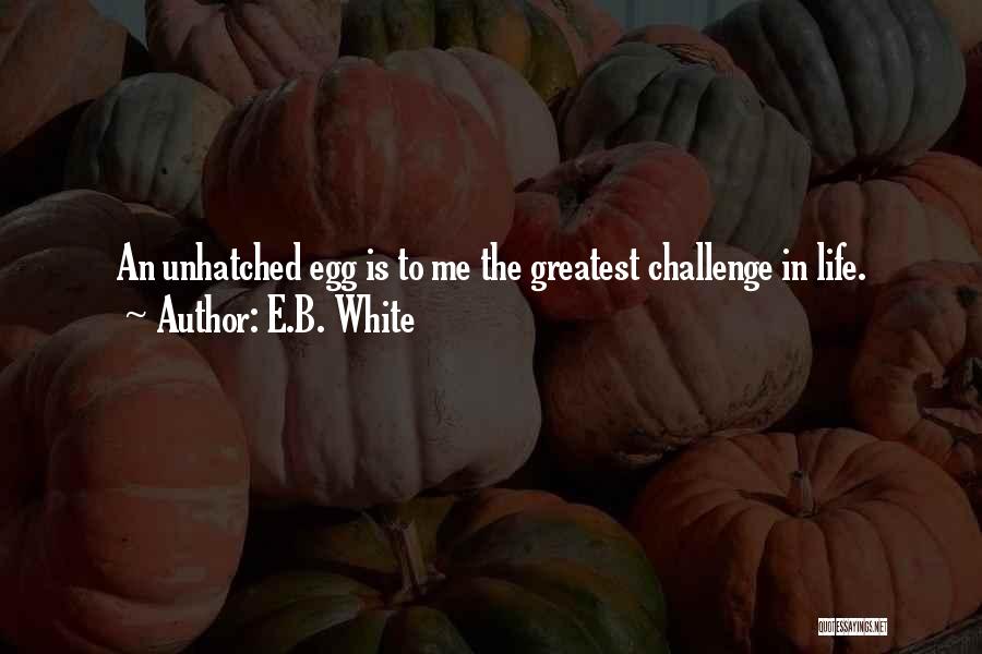 E.B. White Quotes: An Unhatched Egg Is To Me The Greatest Challenge In Life.