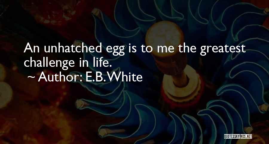 E.B. White Quotes: An Unhatched Egg Is To Me The Greatest Challenge In Life.