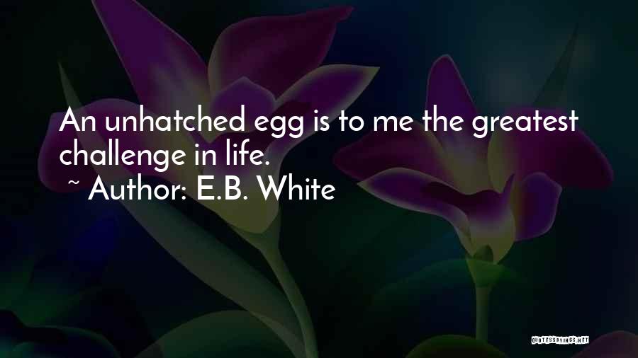 E.B. White Quotes: An Unhatched Egg Is To Me The Greatest Challenge In Life.