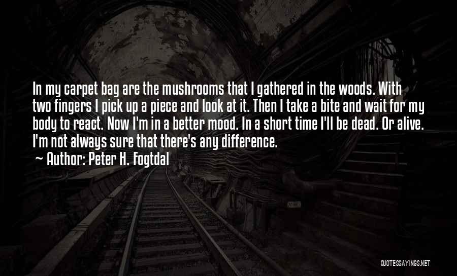 Peter H. Fogtdal Quotes: In My Carpet Bag Are The Mushrooms That I Gathered In The Woods. With Two Fingers I Pick Up A