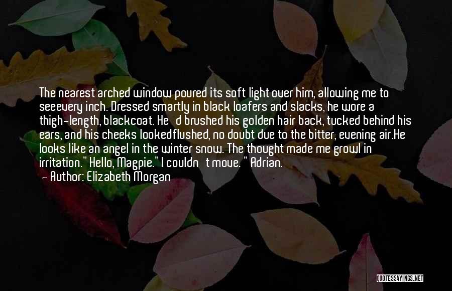 Elizabeth Morgan Quotes: The Nearest Arched Window Poured Its Soft Light Over Him, Allowing Me To Seeevery Inch. Dressed Smartly In Black Loafers