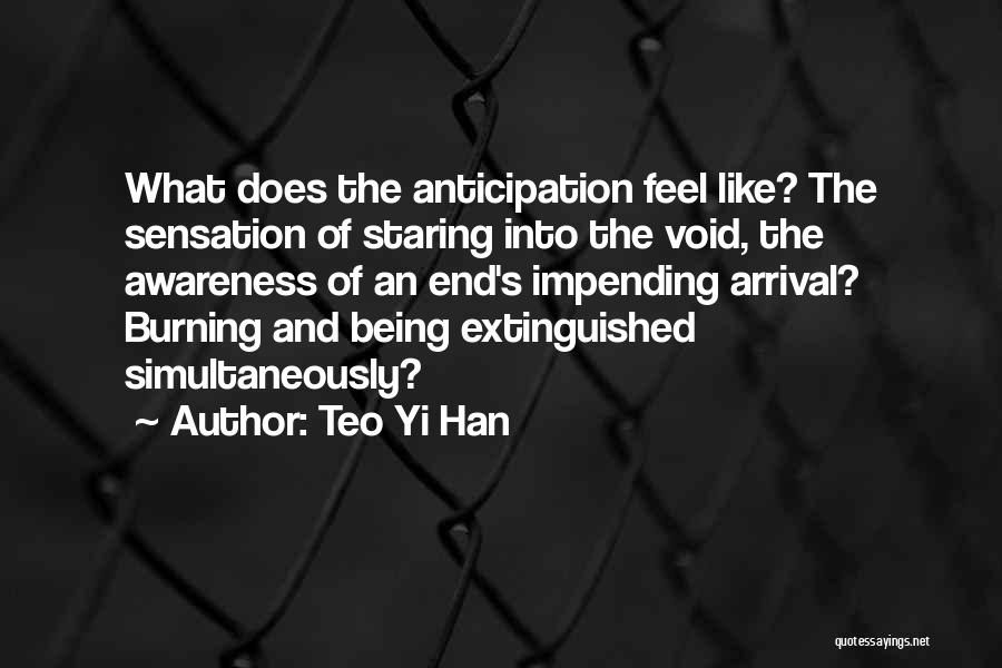 Teo Yi Han Quotes: What Does The Anticipation Feel Like? The Sensation Of Staring Into The Void, The Awareness Of An End's Impending Arrival?