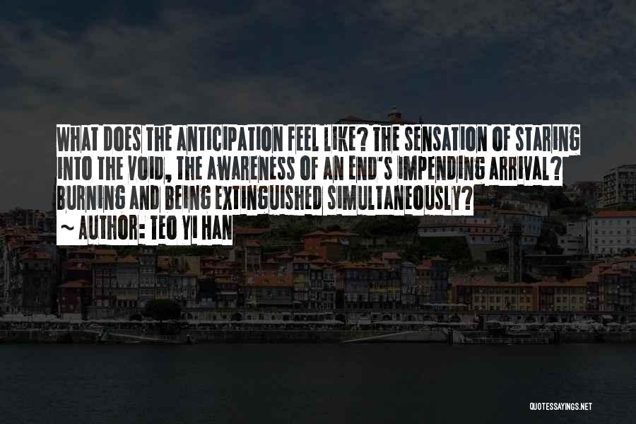 Teo Yi Han Quotes: What Does The Anticipation Feel Like? The Sensation Of Staring Into The Void, The Awareness Of An End's Impending Arrival?