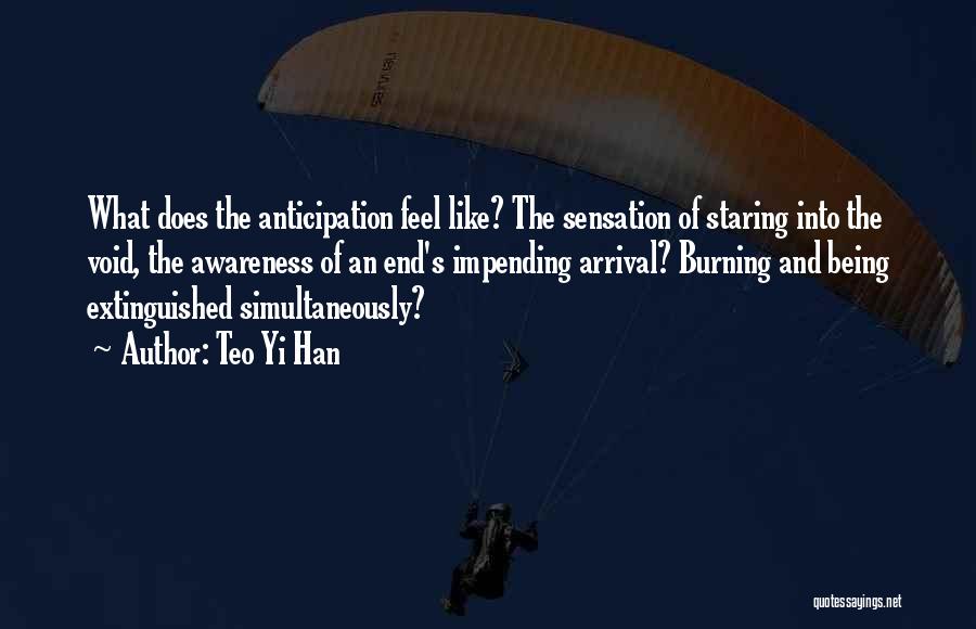 Teo Yi Han Quotes: What Does The Anticipation Feel Like? The Sensation Of Staring Into The Void, The Awareness Of An End's Impending Arrival?