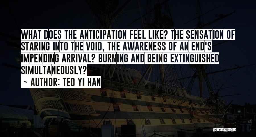 Teo Yi Han Quotes: What Does The Anticipation Feel Like? The Sensation Of Staring Into The Void, The Awareness Of An End's Impending Arrival?