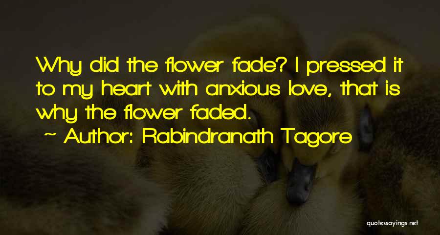 Rabindranath Tagore Quotes: Why Did The Flower Fade? I Pressed It To My Heart With Anxious Love, That Is Why The Flower Faded.