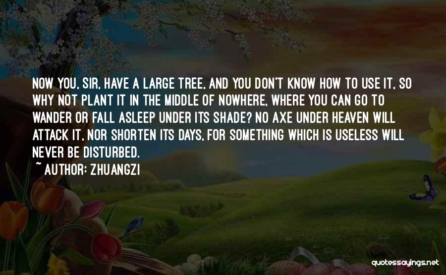 Zhuangzi Quotes: Now You, Sir, Have A Large Tree, And You Don't Know How To Use It, So Why Not Plant It