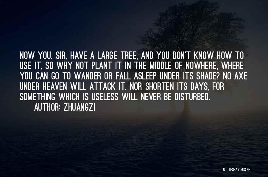 Zhuangzi Quotes: Now You, Sir, Have A Large Tree, And You Don't Know How To Use It, So Why Not Plant It