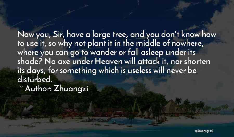 Zhuangzi Quotes: Now You, Sir, Have A Large Tree, And You Don't Know How To Use It, So Why Not Plant It