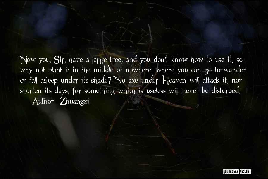 Zhuangzi Quotes: Now You, Sir, Have A Large Tree, And You Don't Know How To Use It, So Why Not Plant It