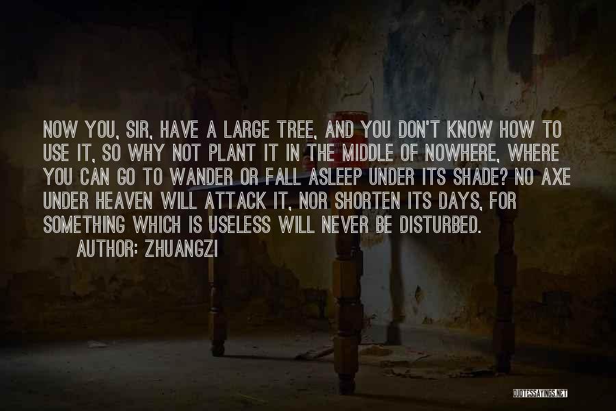 Zhuangzi Quotes: Now You, Sir, Have A Large Tree, And You Don't Know How To Use It, So Why Not Plant It