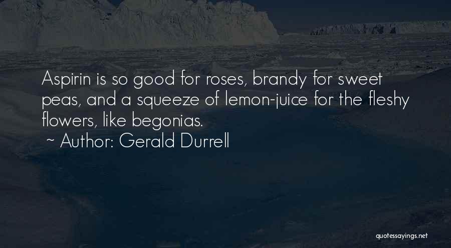 Gerald Durrell Quotes: Aspirin Is So Good For Roses, Brandy For Sweet Peas, And A Squeeze Of Lemon-juice For The Fleshy Flowers, Like