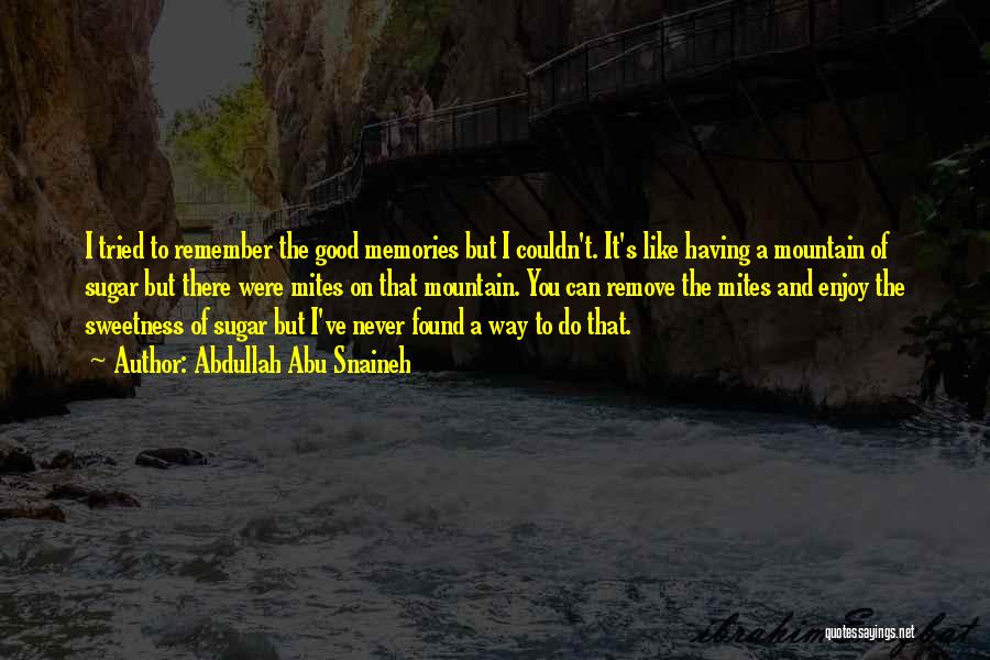 Abdullah Abu Snaineh Quotes: I Tried To Remember The Good Memories But I Couldn't. It's Like Having A Mountain Of Sugar But There Were