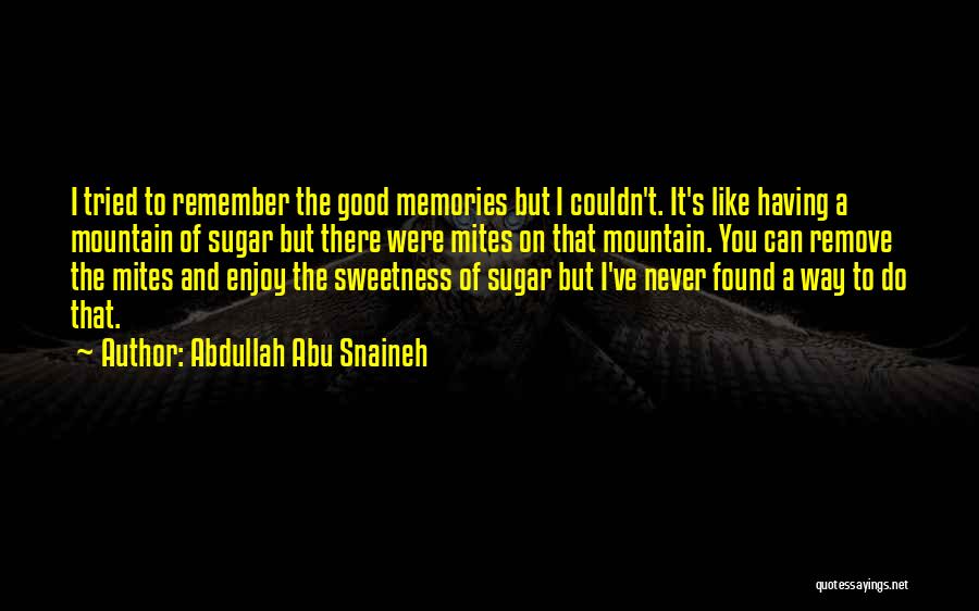 Abdullah Abu Snaineh Quotes: I Tried To Remember The Good Memories But I Couldn't. It's Like Having A Mountain Of Sugar But There Were