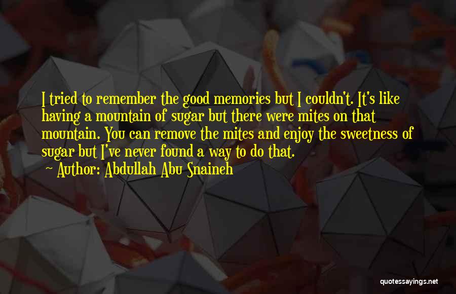 Abdullah Abu Snaineh Quotes: I Tried To Remember The Good Memories But I Couldn't. It's Like Having A Mountain Of Sugar But There Were