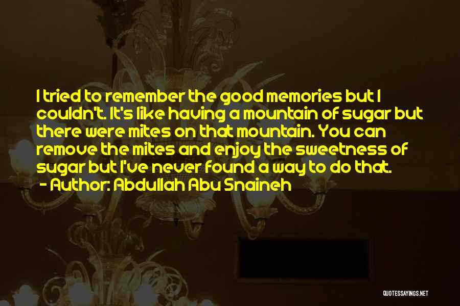 Abdullah Abu Snaineh Quotes: I Tried To Remember The Good Memories But I Couldn't. It's Like Having A Mountain Of Sugar But There Were