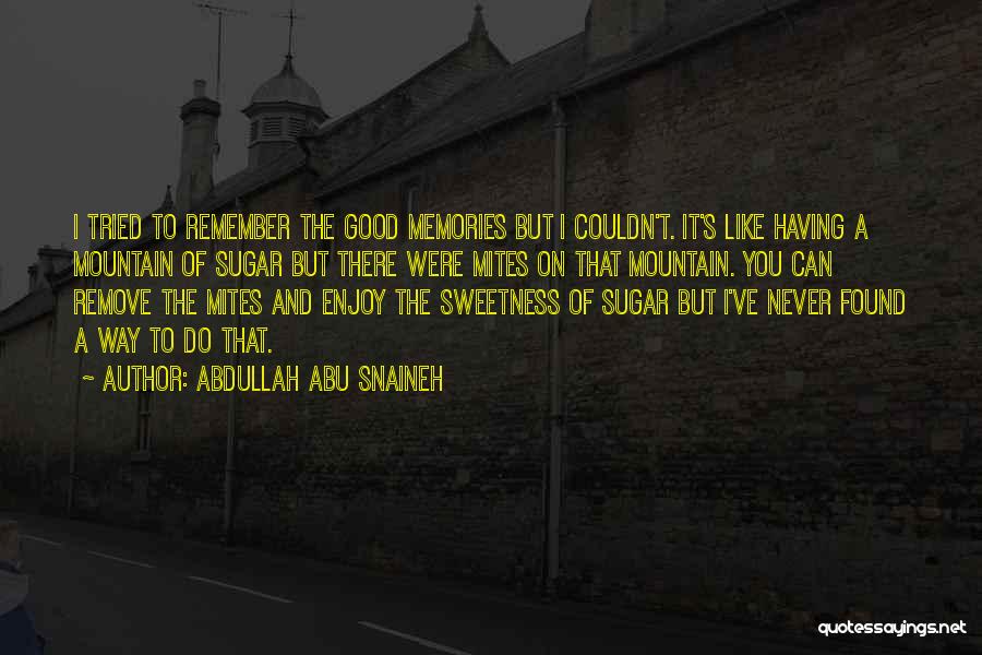 Abdullah Abu Snaineh Quotes: I Tried To Remember The Good Memories But I Couldn't. It's Like Having A Mountain Of Sugar But There Were