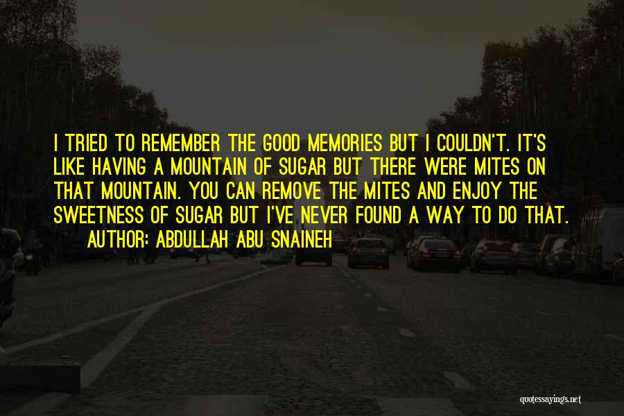 Abdullah Abu Snaineh Quotes: I Tried To Remember The Good Memories But I Couldn't. It's Like Having A Mountain Of Sugar But There Were