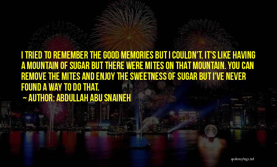 Abdullah Abu Snaineh Quotes: I Tried To Remember The Good Memories But I Couldn't. It's Like Having A Mountain Of Sugar But There Were