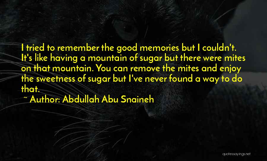 Abdullah Abu Snaineh Quotes: I Tried To Remember The Good Memories But I Couldn't. It's Like Having A Mountain Of Sugar But There Were