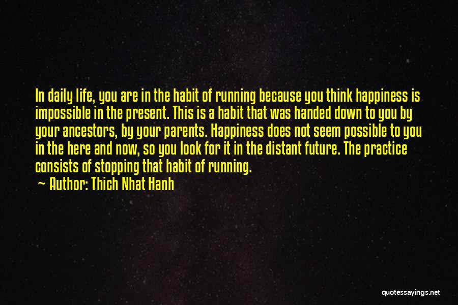 Thich Nhat Hanh Quotes: In Daily Life, You Are In The Habit Of Running Because You Think Happiness Is Impossible In The Present. This