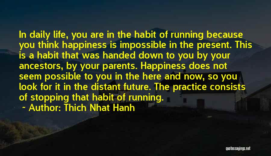 Thich Nhat Hanh Quotes: In Daily Life, You Are In The Habit Of Running Because You Think Happiness Is Impossible In The Present. This