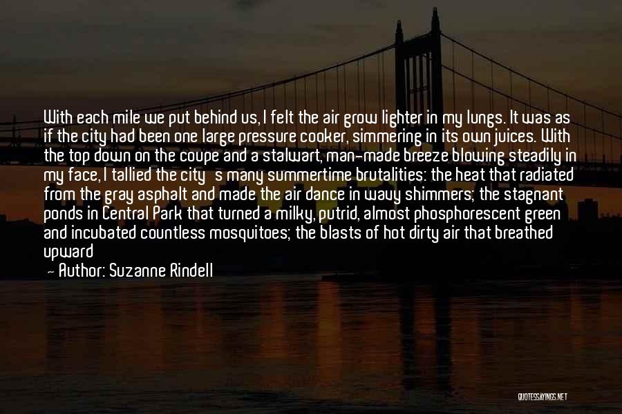 Suzanne Rindell Quotes: With Each Mile We Put Behind Us, I Felt The Air Grow Lighter In My Lungs. It Was As If