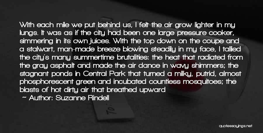 Suzanne Rindell Quotes: With Each Mile We Put Behind Us, I Felt The Air Grow Lighter In My Lungs. It Was As If