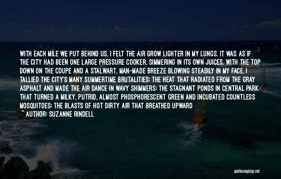 Suzanne Rindell Quotes: With Each Mile We Put Behind Us, I Felt The Air Grow Lighter In My Lungs. It Was As If