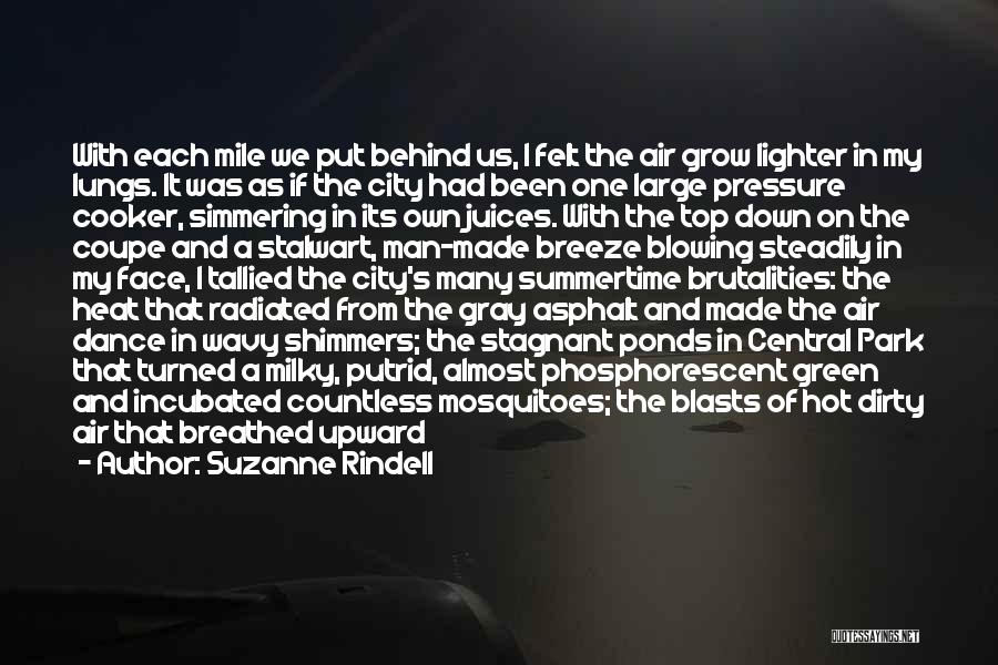 Suzanne Rindell Quotes: With Each Mile We Put Behind Us, I Felt The Air Grow Lighter In My Lungs. It Was As If