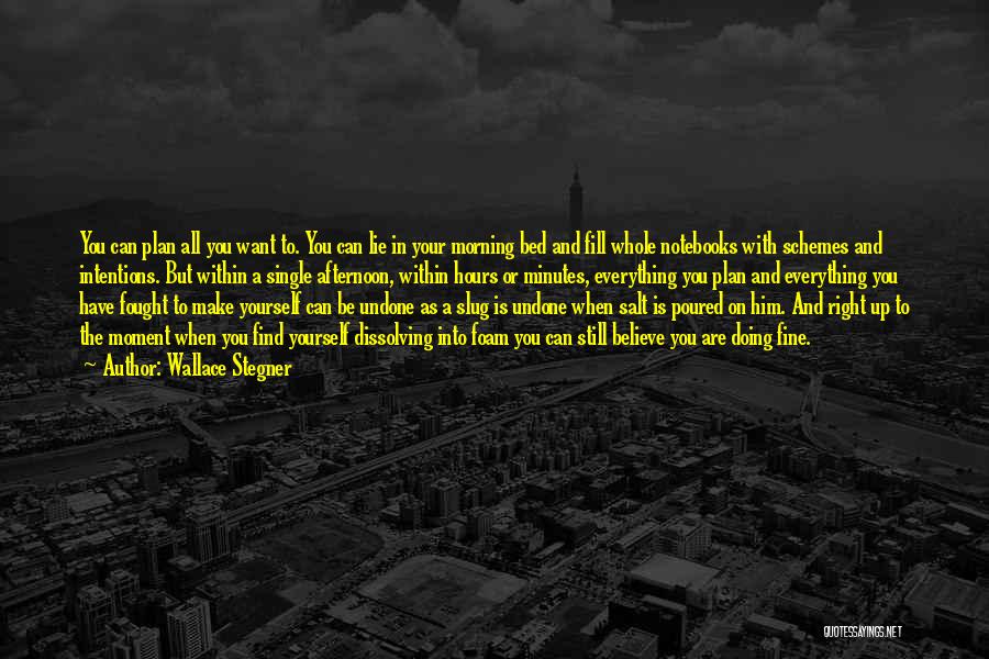 Wallace Stegner Quotes: You Can Plan All You Want To. You Can Lie In Your Morning Bed And Fill Whole Notebooks With Schemes