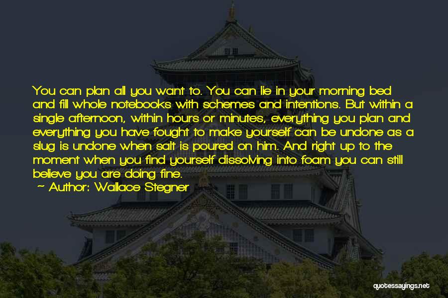 Wallace Stegner Quotes: You Can Plan All You Want To. You Can Lie In Your Morning Bed And Fill Whole Notebooks With Schemes