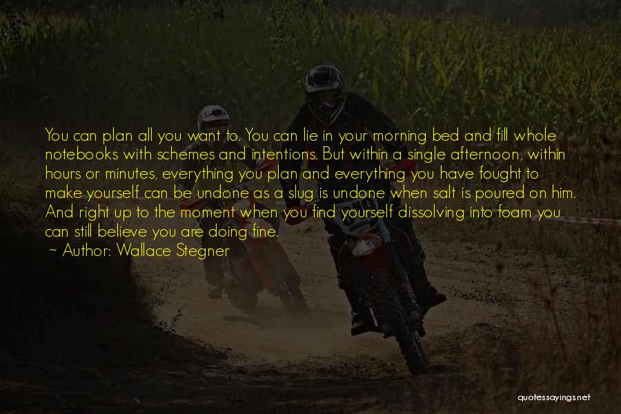 Wallace Stegner Quotes: You Can Plan All You Want To. You Can Lie In Your Morning Bed And Fill Whole Notebooks With Schemes