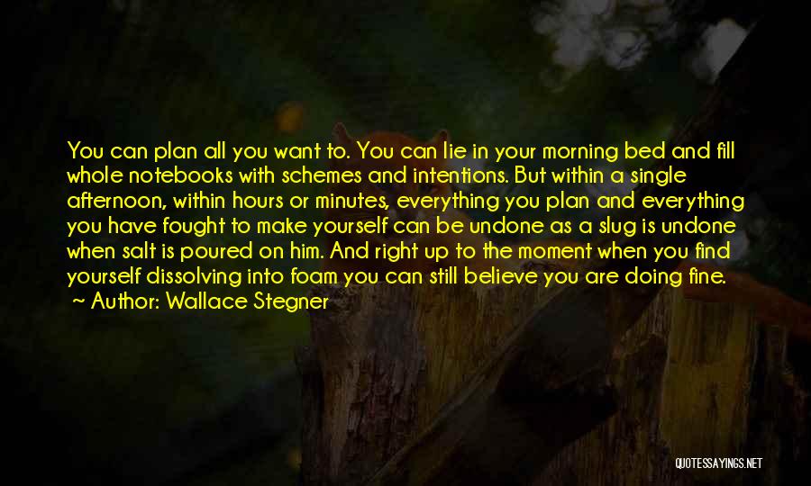 Wallace Stegner Quotes: You Can Plan All You Want To. You Can Lie In Your Morning Bed And Fill Whole Notebooks With Schemes