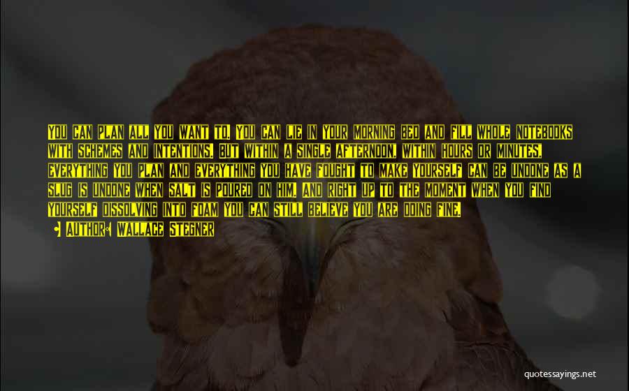 Wallace Stegner Quotes: You Can Plan All You Want To. You Can Lie In Your Morning Bed And Fill Whole Notebooks With Schemes