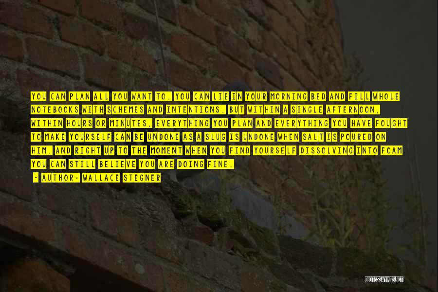 Wallace Stegner Quotes: You Can Plan All You Want To. You Can Lie In Your Morning Bed And Fill Whole Notebooks With Schemes