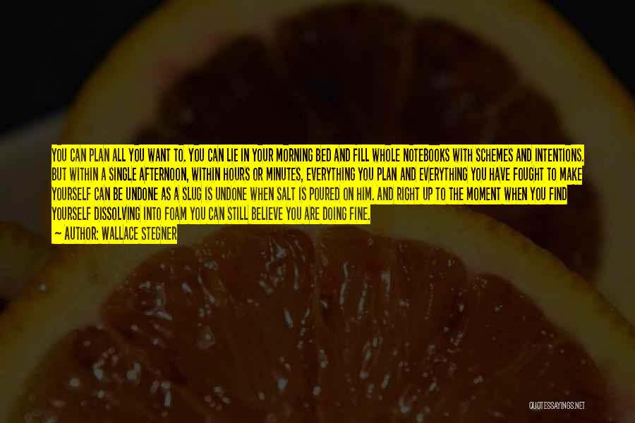 Wallace Stegner Quotes: You Can Plan All You Want To. You Can Lie In Your Morning Bed And Fill Whole Notebooks With Schemes