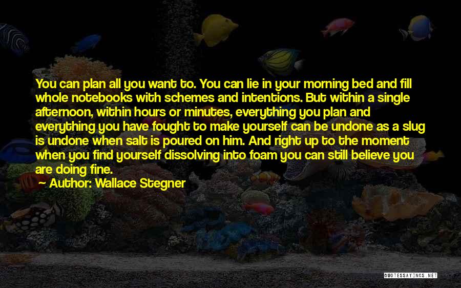 Wallace Stegner Quotes: You Can Plan All You Want To. You Can Lie In Your Morning Bed And Fill Whole Notebooks With Schemes