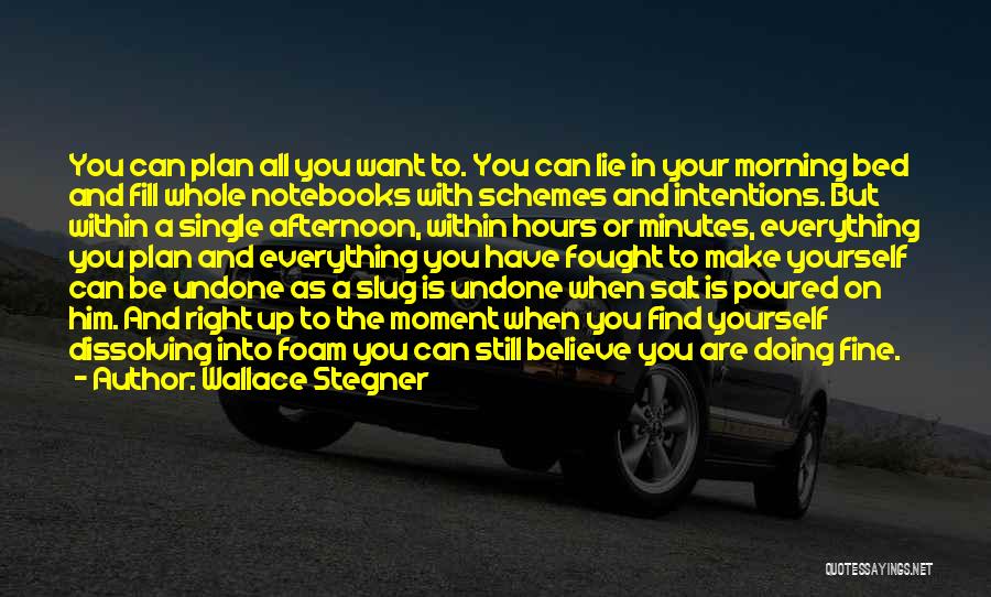 Wallace Stegner Quotes: You Can Plan All You Want To. You Can Lie In Your Morning Bed And Fill Whole Notebooks With Schemes