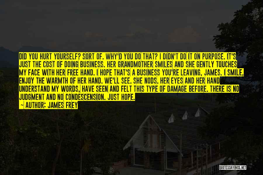 James Frey Quotes: Did You Hurt Yourself? Sort Of. Why'd You Do That? I Didn't Do It On Purpose. It's Just The Cost