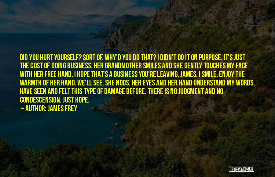 James Frey Quotes: Did You Hurt Yourself? Sort Of. Why'd You Do That? I Didn't Do It On Purpose. It's Just The Cost