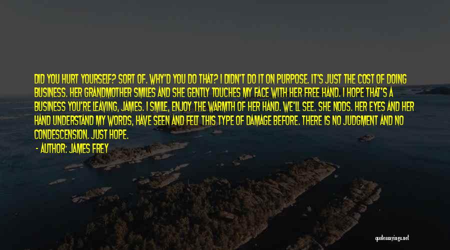 James Frey Quotes: Did You Hurt Yourself? Sort Of. Why'd You Do That? I Didn't Do It On Purpose. It's Just The Cost