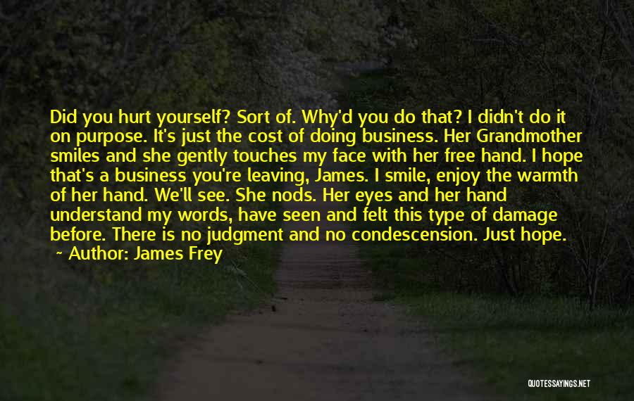 James Frey Quotes: Did You Hurt Yourself? Sort Of. Why'd You Do That? I Didn't Do It On Purpose. It's Just The Cost