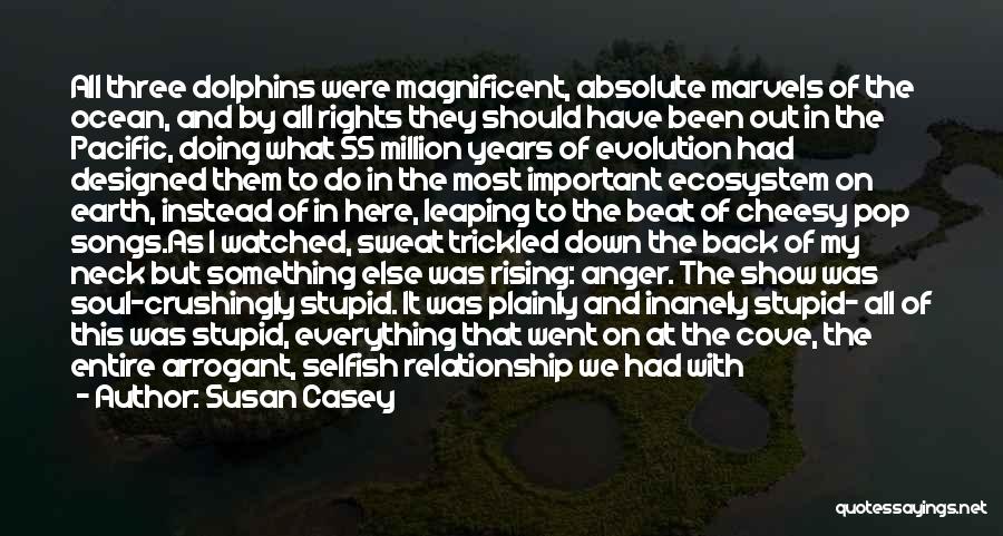 Susan Casey Quotes: All Three Dolphins Were Magnificent, Absolute Marvels Of The Ocean, And By All Rights They Should Have Been Out In