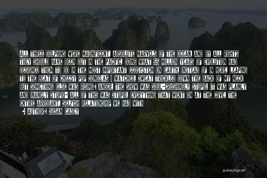 Susan Casey Quotes: All Three Dolphins Were Magnificent, Absolute Marvels Of The Ocean, And By All Rights They Should Have Been Out In