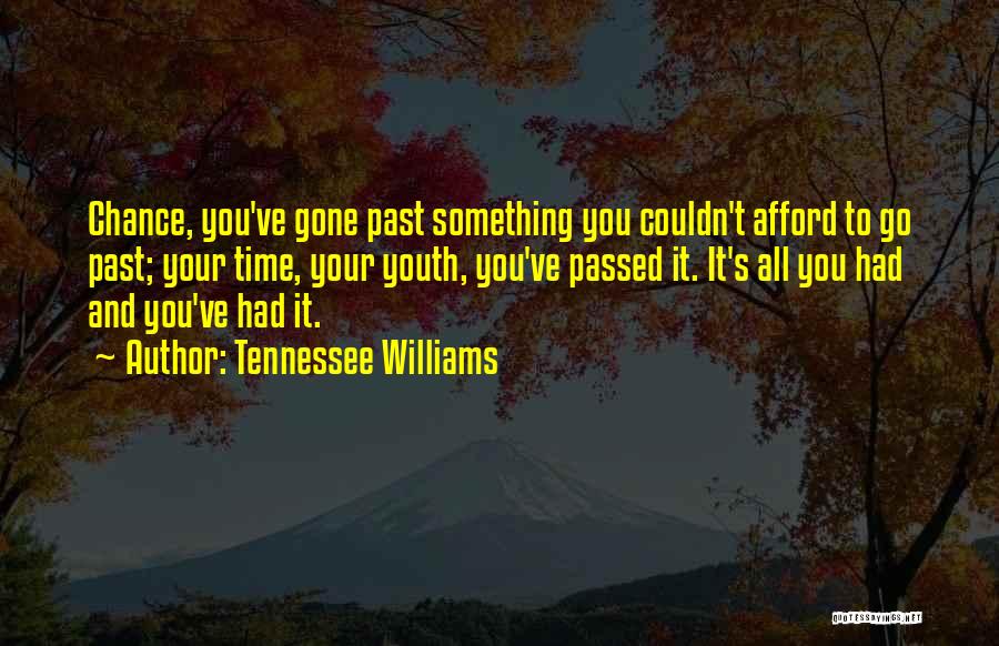 Tennessee Williams Quotes: Chance, You've Gone Past Something You Couldn't Afford To Go Past; Your Time, Your Youth, You've Passed It. It's All