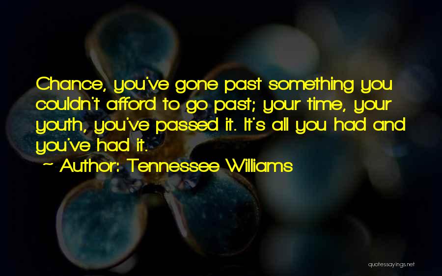Tennessee Williams Quotes: Chance, You've Gone Past Something You Couldn't Afford To Go Past; Your Time, Your Youth, You've Passed It. It's All