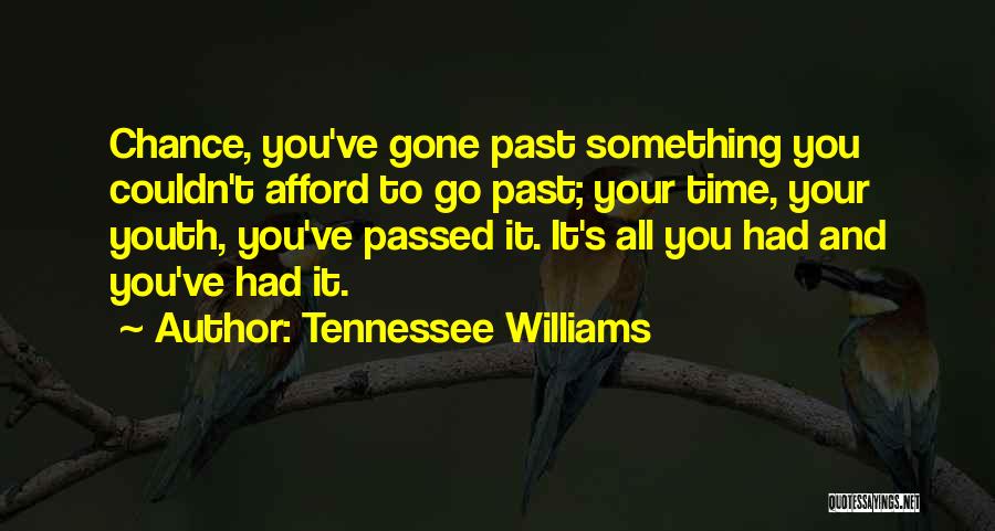 Tennessee Williams Quotes: Chance, You've Gone Past Something You Couldn't Afford To Go Past; Your Time, Your Youth, You've Passed It. It's All