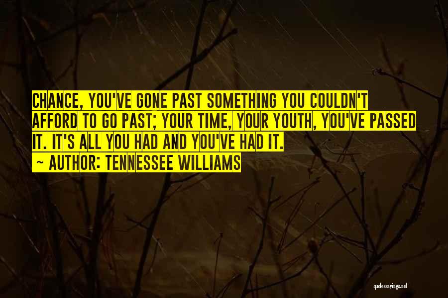 Tennessee Williams Quotes: Chance, You've Gone Past Something You Couldn't Afford To Go Past; Your Time, Your Youth, You've Passed It. It's All