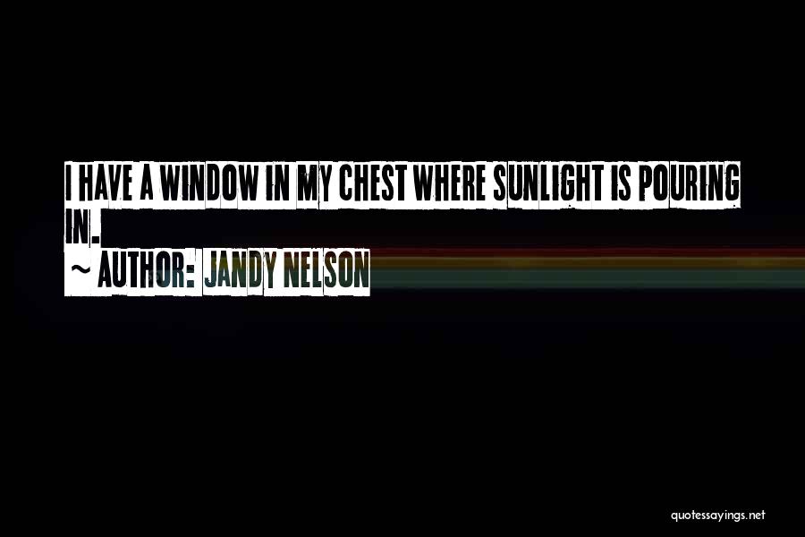 Jandy Nelson Quotes: I Have A Window In My Chest Where Sunlight Is Pouring In.